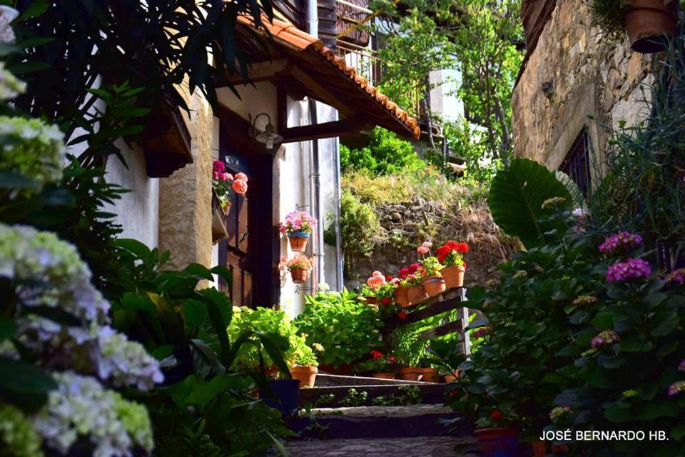 Casa Rural Amparo Mogarraz Exterior photo
